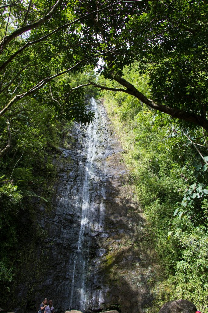 Excursion Ourika Valley Trip from Marrakech with Waterfall Hike and Argan Cooperative Visit